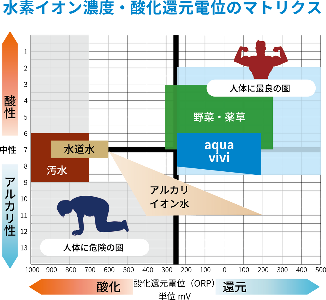 水素イオン濃度（pH）と酸化還元電位（ORP）のマトリクス。aqua vivi は中性を保ちながら還元する、人体に最良の圏に位置する